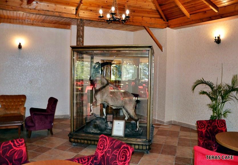 Patalya Thermal Resort Hotel Kızılcahamam Exteriör bild